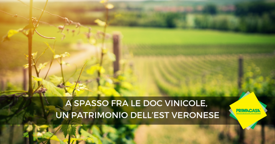 Il patrimonio vinicolo e culturale dell’est veronese da scoprire