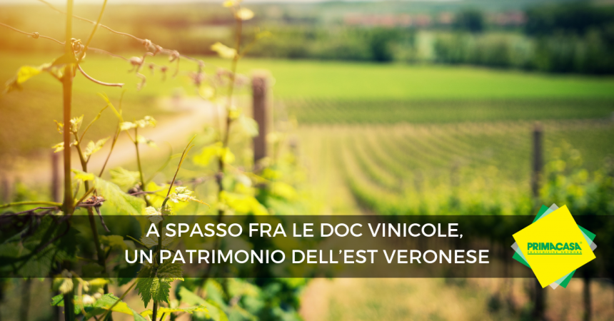 Il patrimonio vinicolo e culturale dell’est veronese da scoprire 